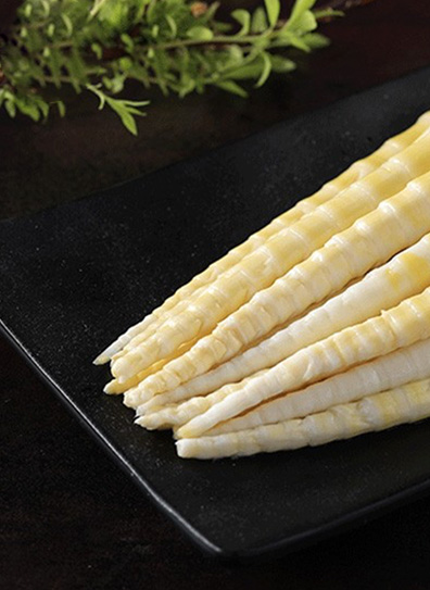 Bamboo Shoot